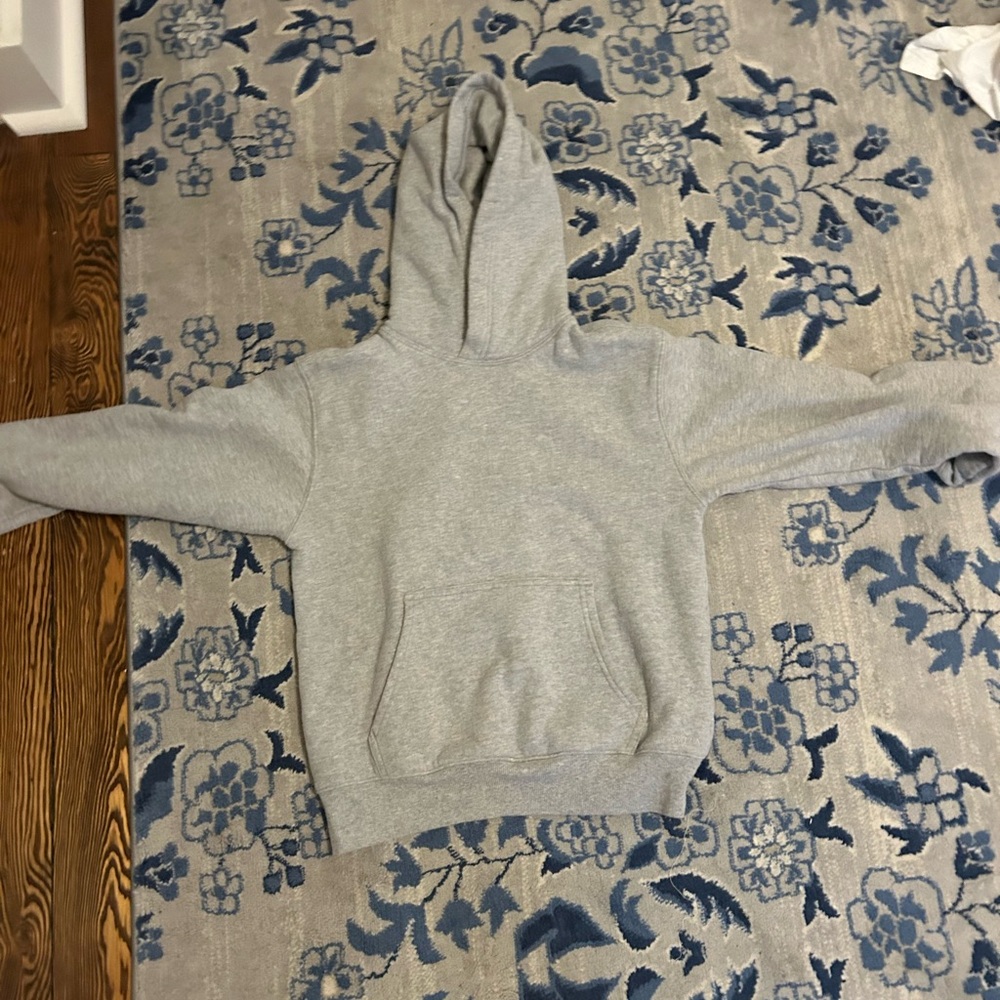 Aritzia Classic Gray women’s Hoodie
